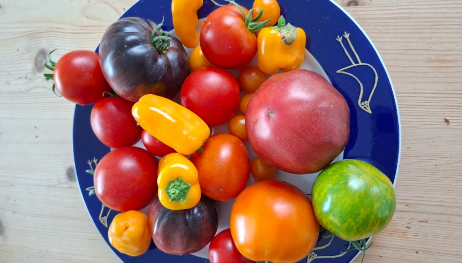 Herfstblog terugblik 2025